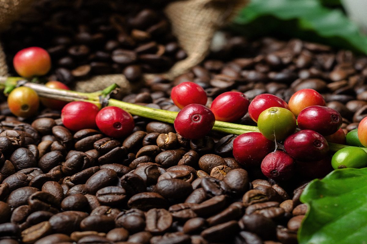 Benefícios do café